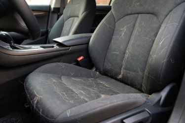 Fabric car seats and interior upholstery in a real vehicle where pet hair removal is needed